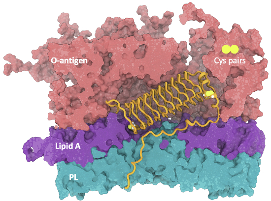Figure 13
