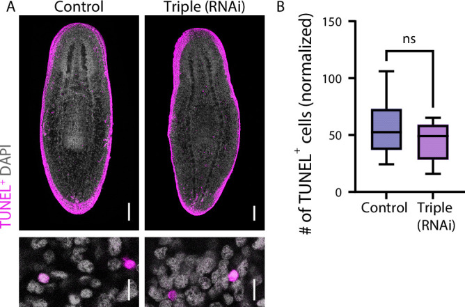 Figure 18
