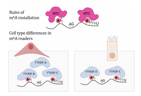 Figure 19