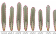 Figure 20