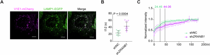 Figure 14