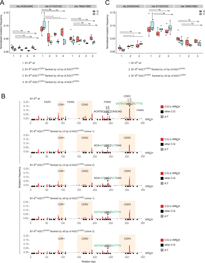 Figure 6