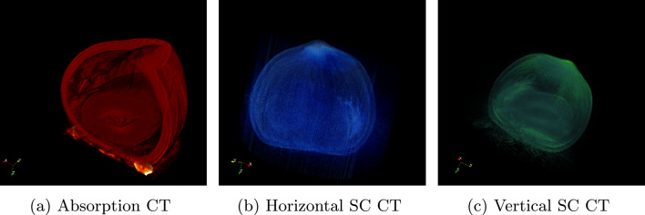 Figure 7