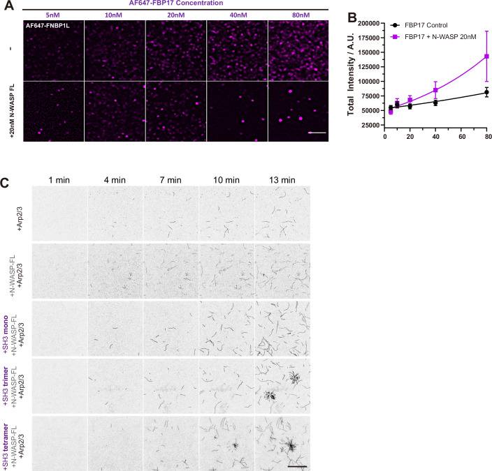 Figure 16