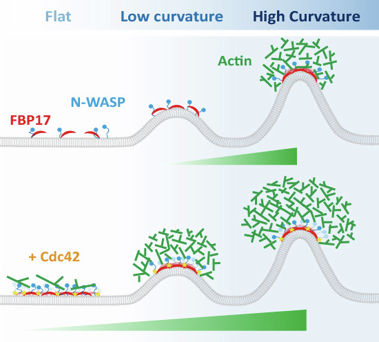 Figure 17