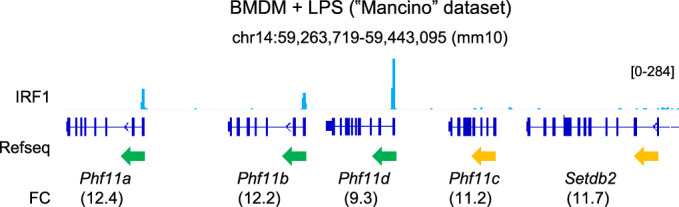 Figure 12