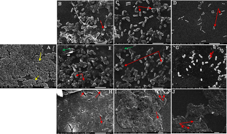Figure 17