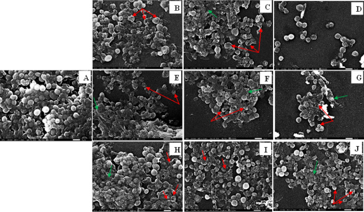 Figure 18
