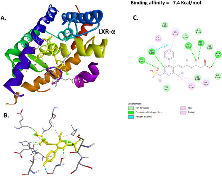 Figure 7