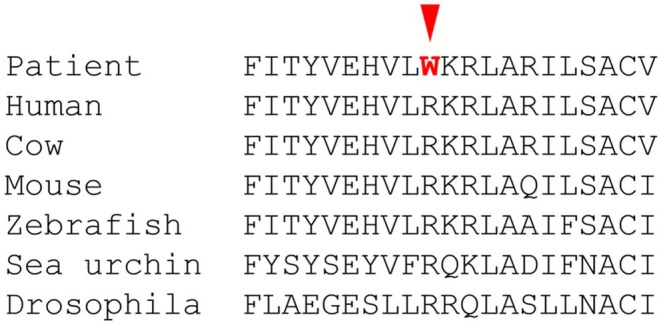 FIGURE 5