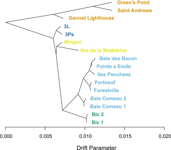FIGURE 5