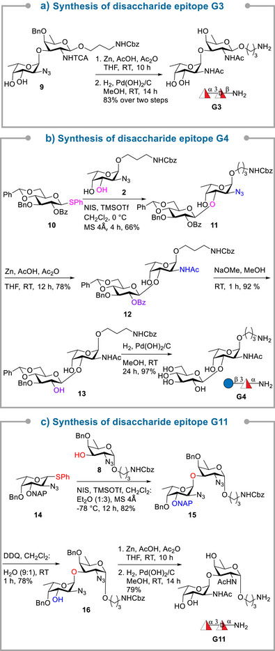 Scheme 2