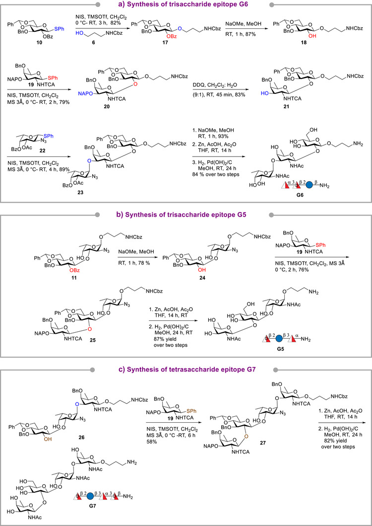 Scheme 3