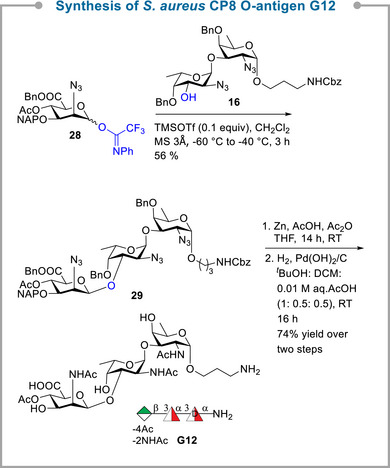 Scheme 4