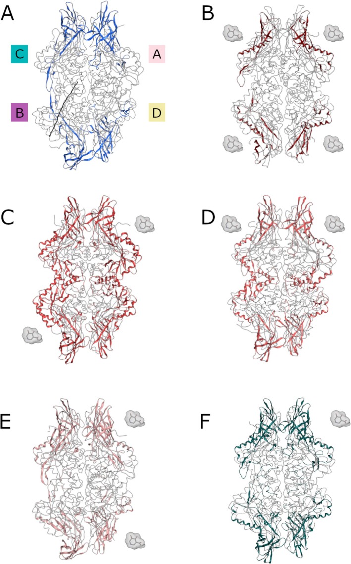 FIGURE 6