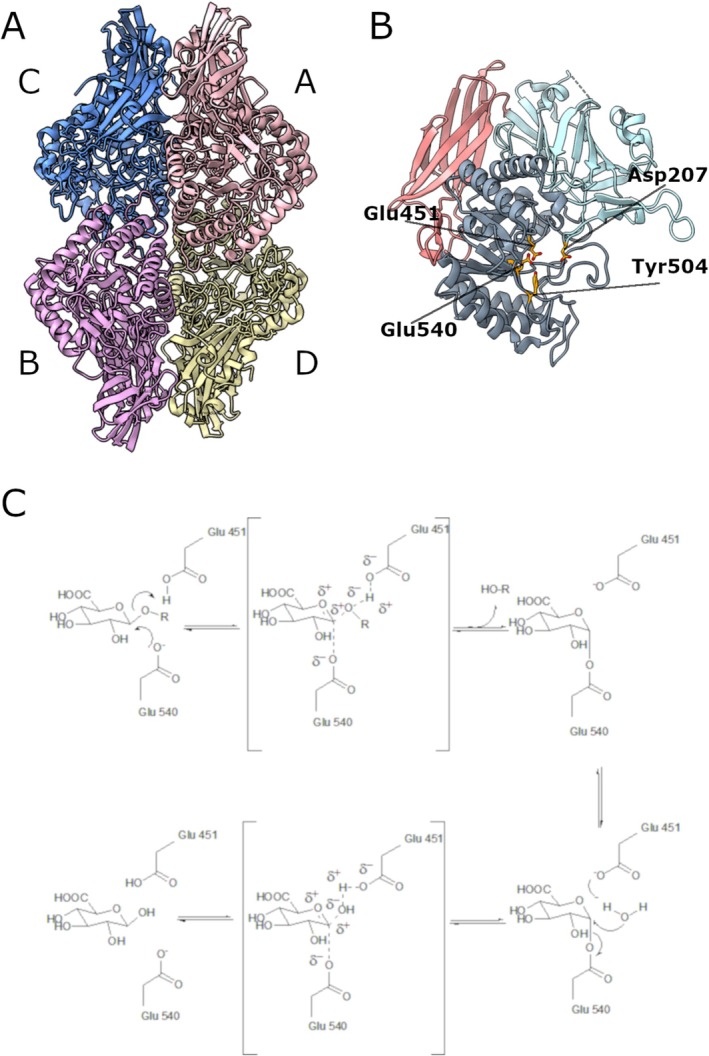 FIGURE 1
