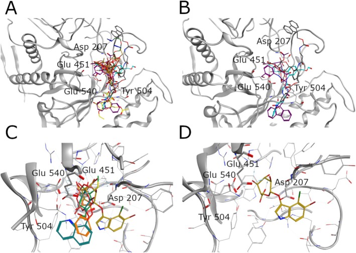 FIGURE 2