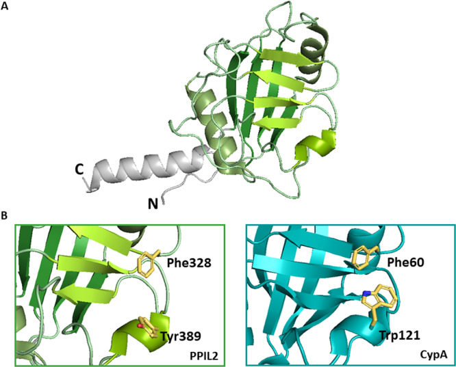 Figure 16