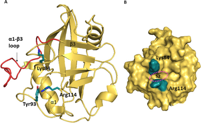 Figure 14