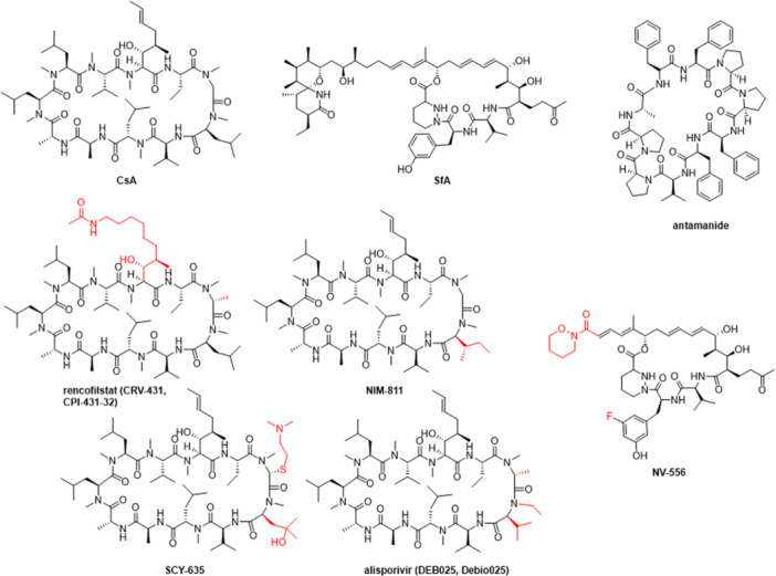 Figure 22
