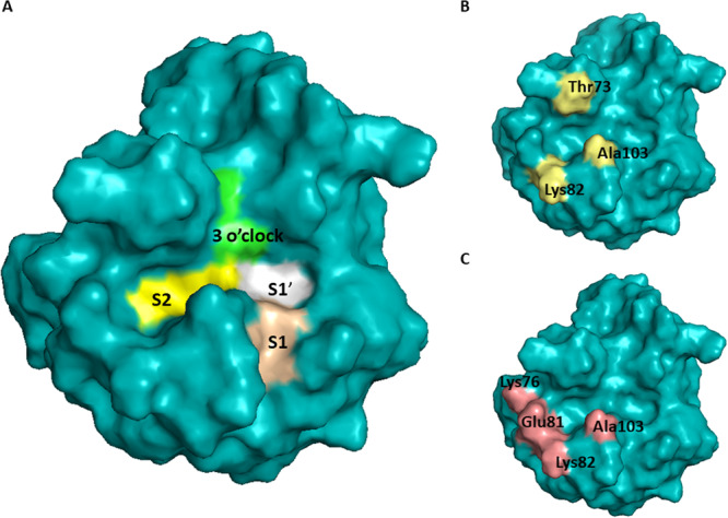 Figure 23
