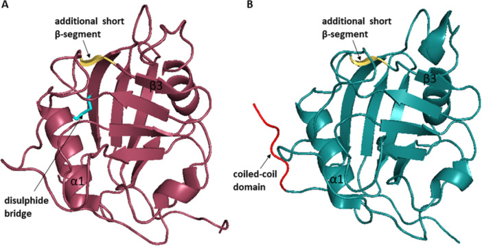 Figure 21