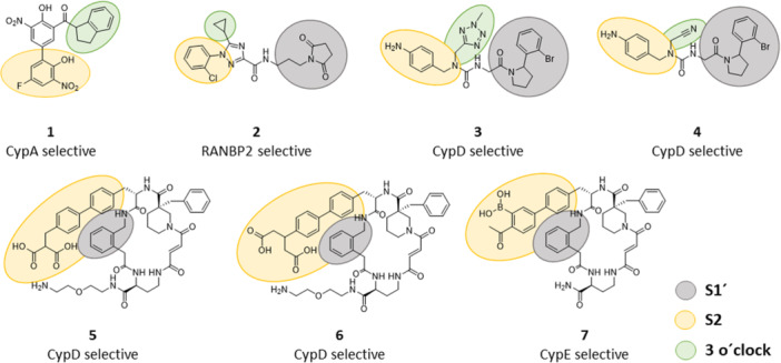 Figure 24