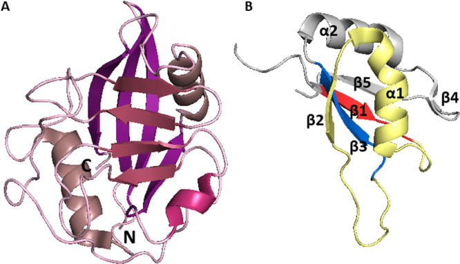 Figure 10