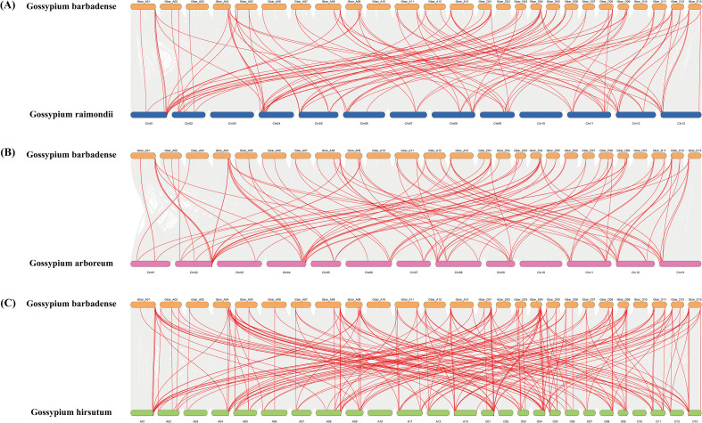 Figure 5