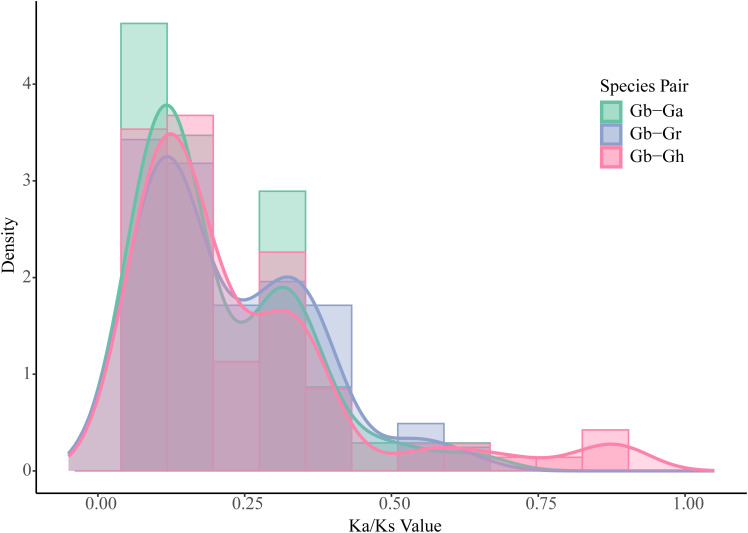 Figure 6