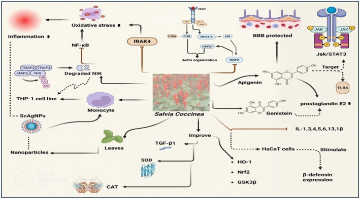 FIGURE 3
