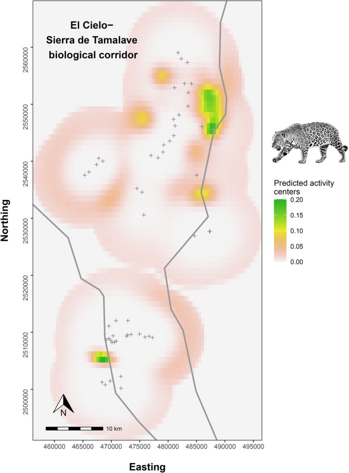 FIGURE 4