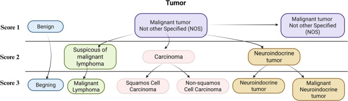 FIGURE 3