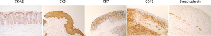 FIGURE 4