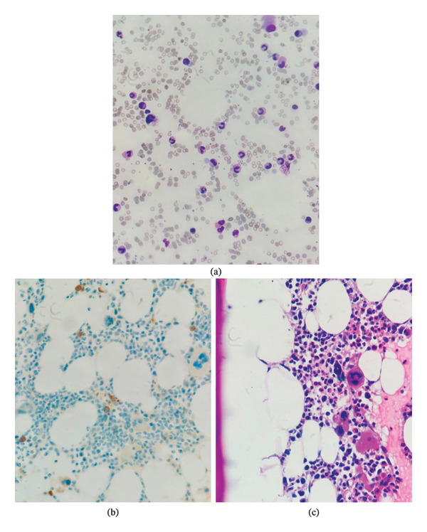 FIGURE 1