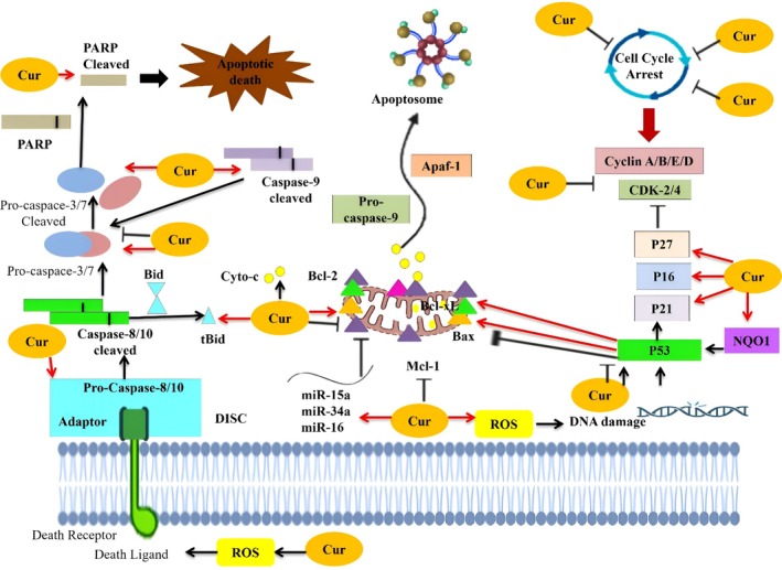 FIGURE 3
