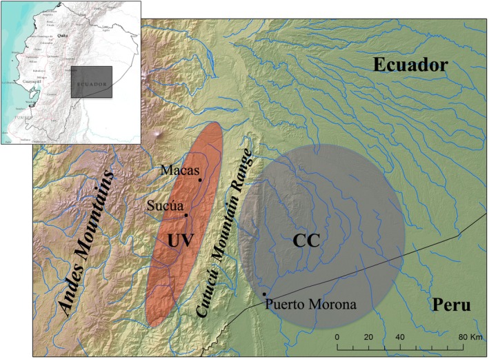 FIGURE 1