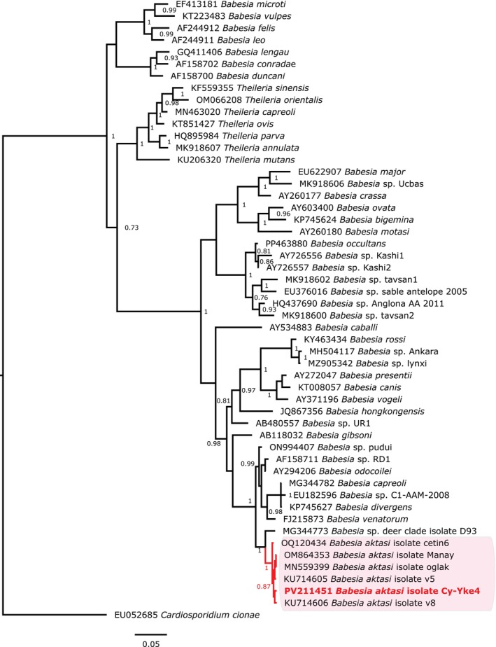 FIGURE 1