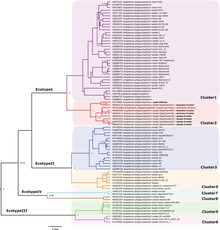 FIGURE 2