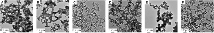 Fig. 6