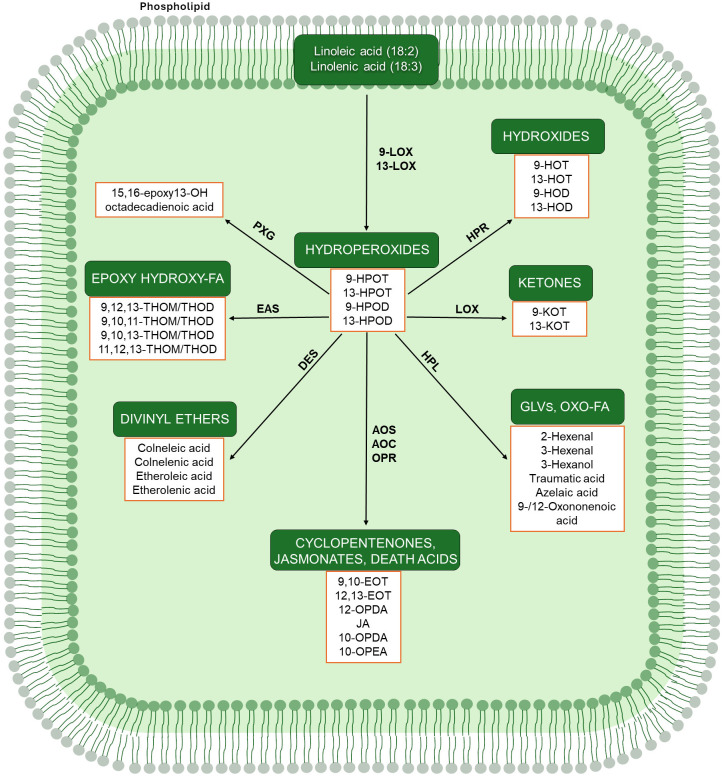 Figure 4