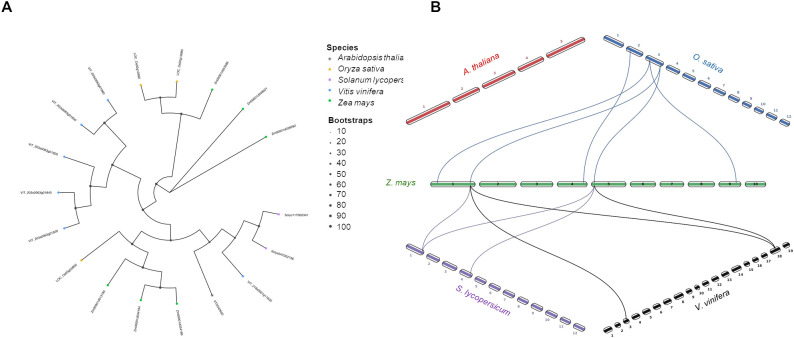 Figure 6