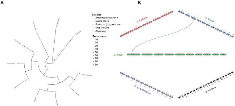 Figure 7