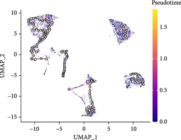 Figure 17