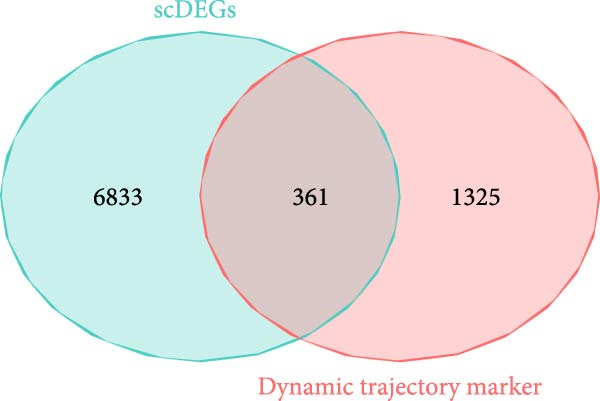 Figure 20