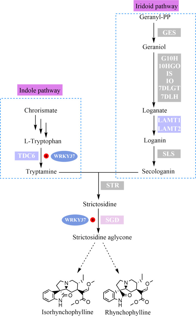 Figure 12