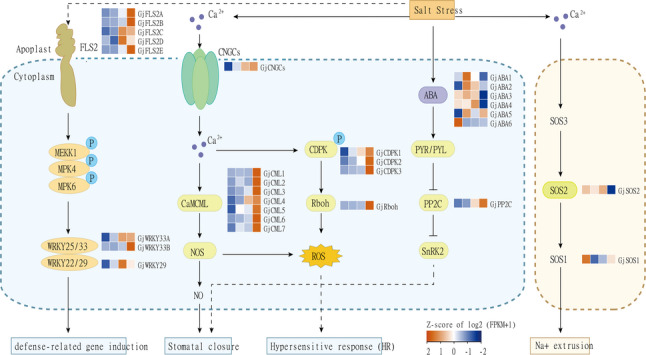 Figure 6