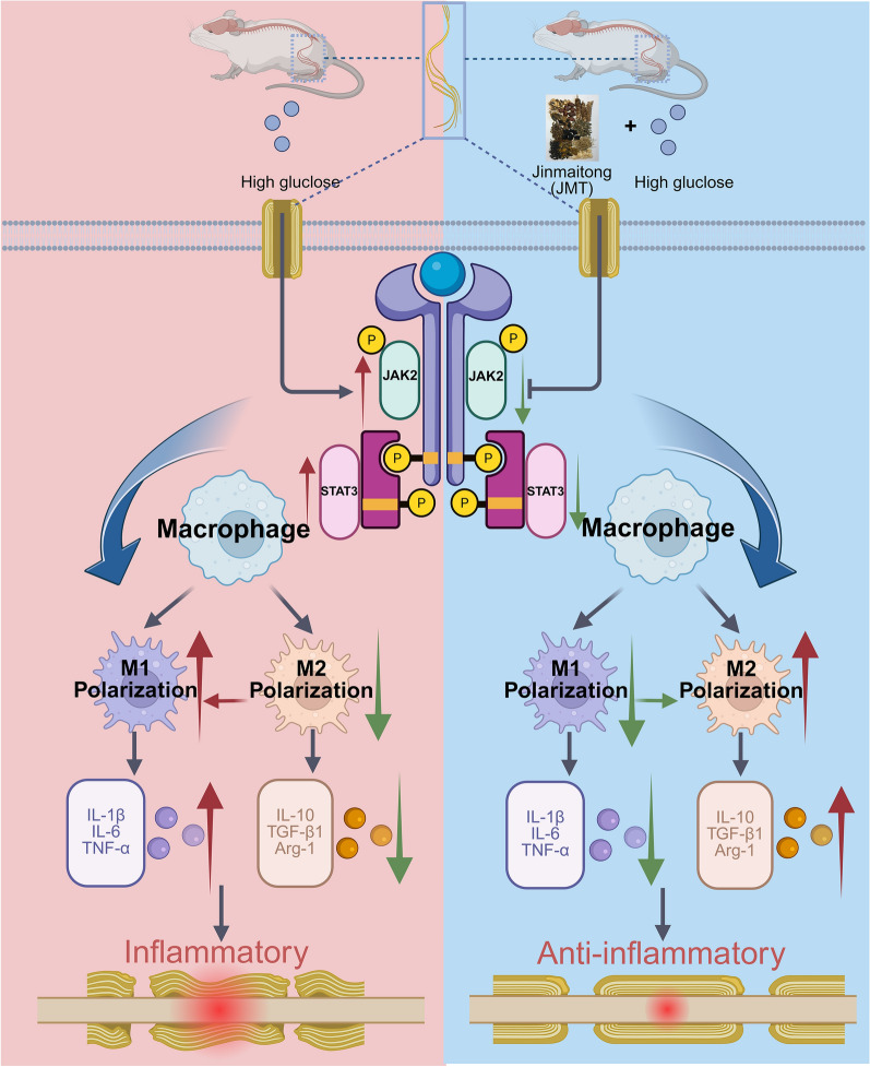 Figure 14