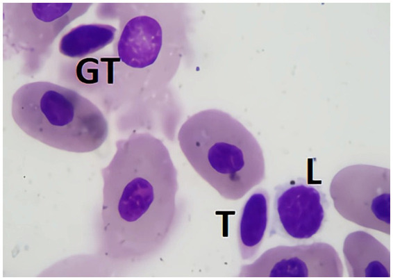 Figure 9
