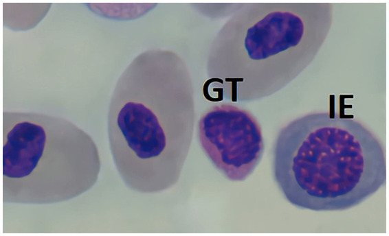 Figure 10